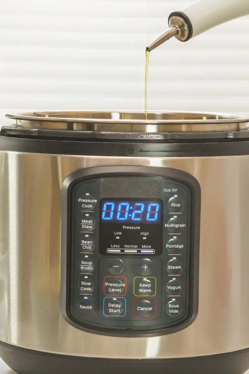 Instant Pot (A Complete Guide) - Kitchen Informant